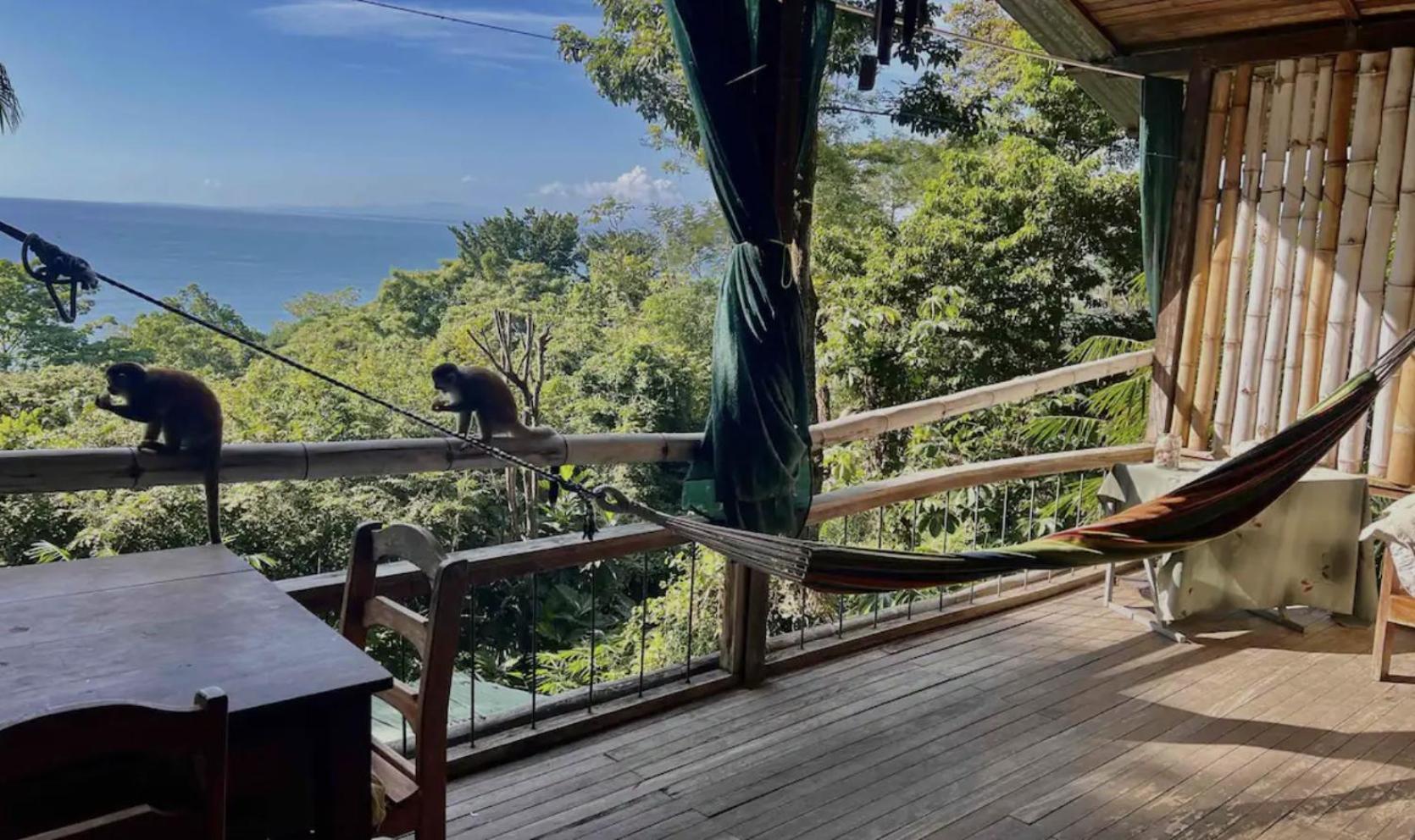 Beautiful Rustic Treehouse Hotel Manuel Antonio Quepos Ngoại thất bức ảnh